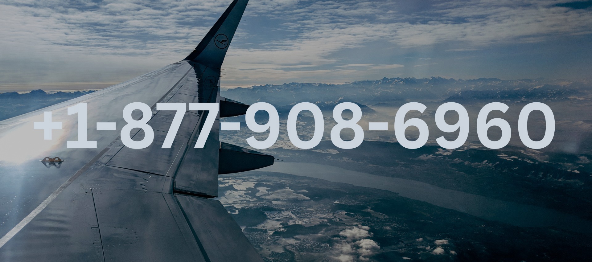 https://givestar.io/gs/united-airlines-dulles-va-offices-1-844-325-4646-67506https://givestar.io/gs/united-airlines-dulles-va-offices-1-844-325-4646-67506