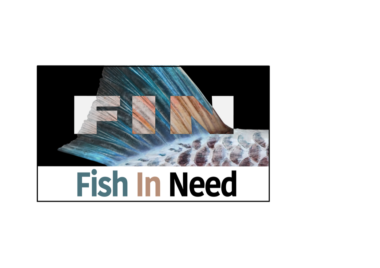 Fish In Need Logo