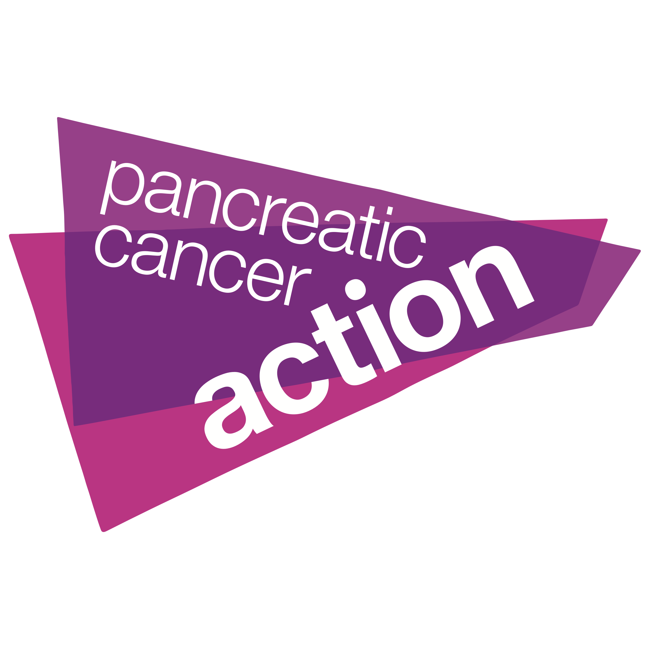 Pancreatic Cancer Action Logo