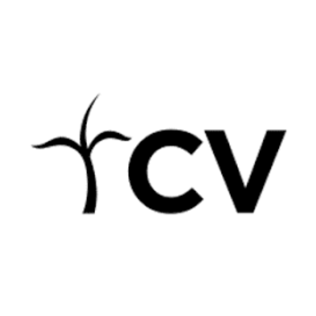 Christian Vision Logo