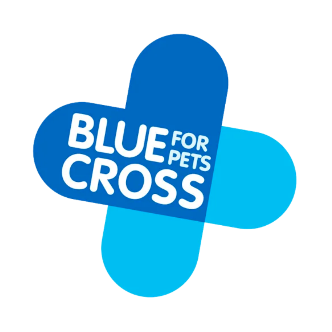 Blue Cross Logo