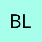 Blyth Battery Volunteers Ltd profile photo
