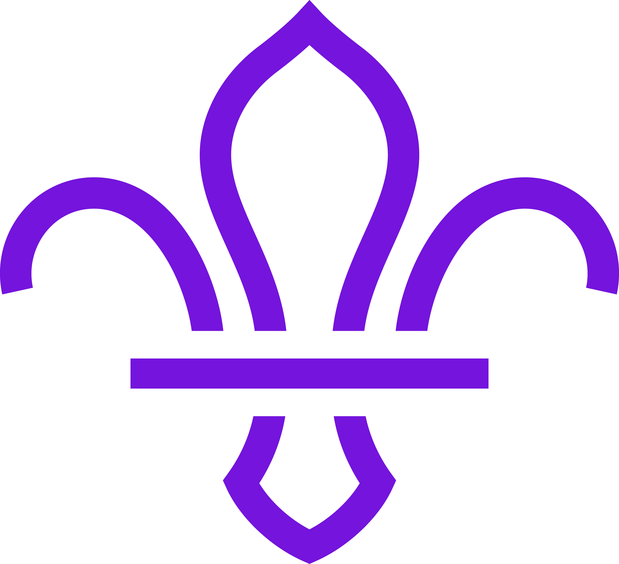 10Th Fareham Scout Group Logo