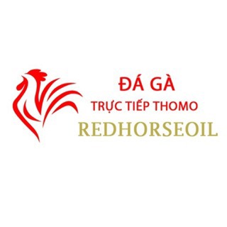 Đá Gà Trực Tiếp Thomo