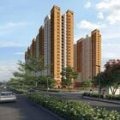 Prestige Evergreen Address