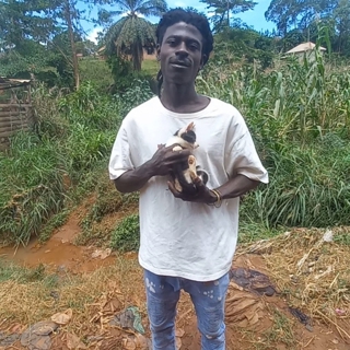 Kasule Sanctuary