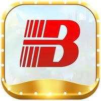 bsport broker