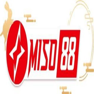 miso88 diy