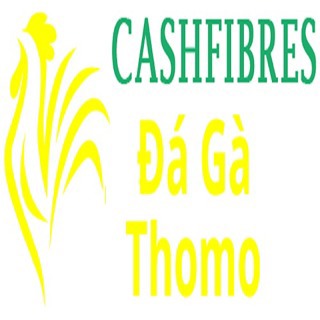 Đá Gà Trực Tiếp Thomo