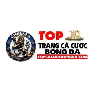 Trang Cá Cược  Bóng Đá