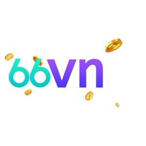 66VN loan