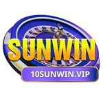 SUNWIN observer