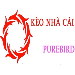 Kèo Nhà Cái