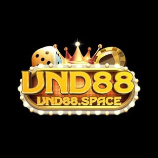 VND88 space