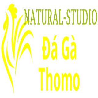 Đá Gà Trực Tiếp Thomo