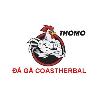 DA GA THOMO TRUC TIEP