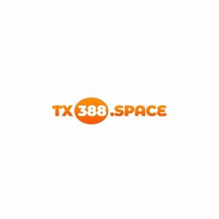 tx 338