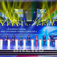 Tổ Chức Sự Kiện
