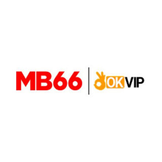 MB6699 Net