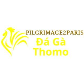Đá Gà Trực Tiếp Thomo
