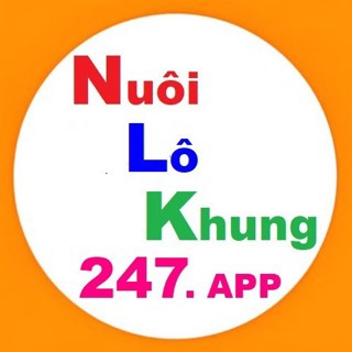 Nuôi Lô Khung 247