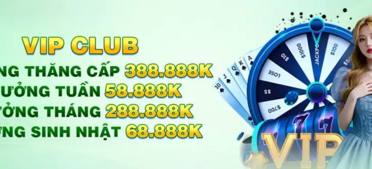 DN88 US | givestar